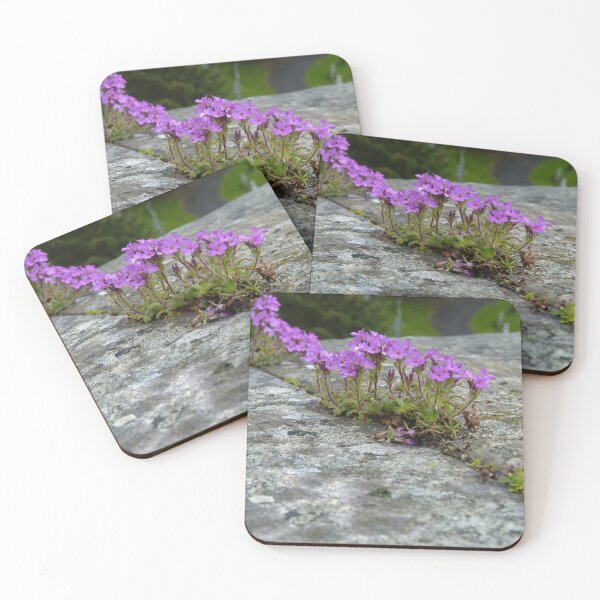 Item preview, Delicate purple flowers grow on rough grey stone. designed and sold by sopfanna.
