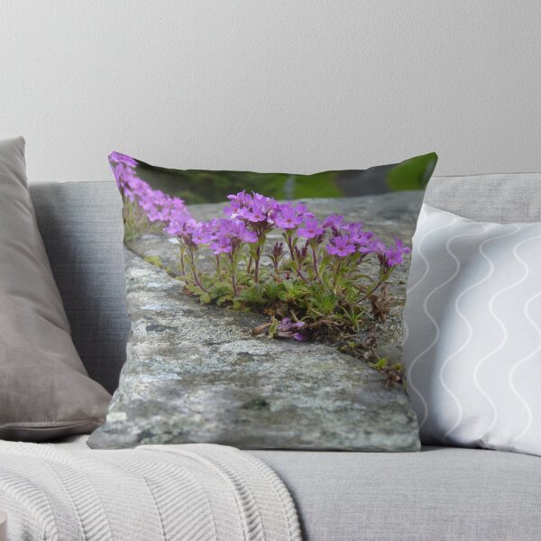 Item preview, Delicate purple flowers grow on rough grey stone. designed and sold by sopfanna.