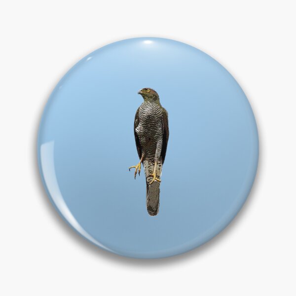 Item preview, Henst's Goshawk Color Design  designed and sold by designsasstultd.