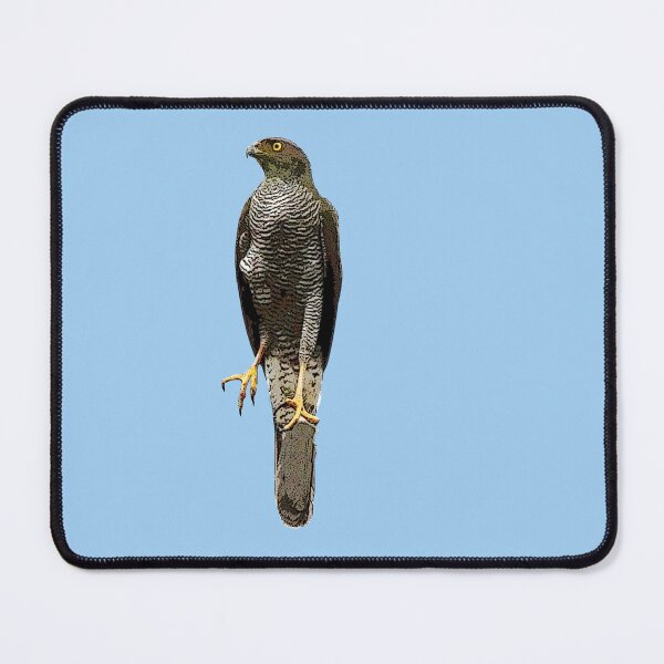 Item preview, Henst's Goshawk Color Design  designed and sold by designsasstultd.
