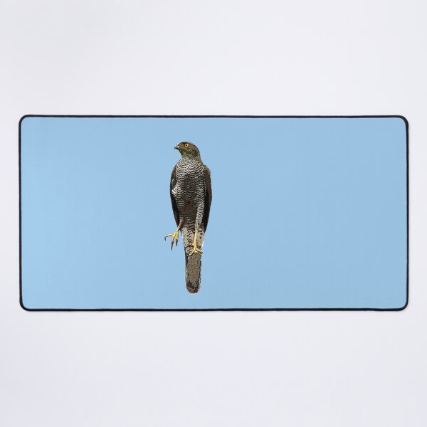Item preview, Henst's Goshawk Color Design designed and sold by designsasstultd.