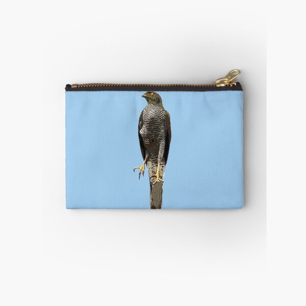 Item preview, Henst's Goshawk Color Design  designed and sold by designsasstultd.