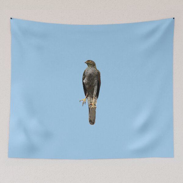 Item preview, Henst's Goshawk Color Design  designed and sold by designsasstultd.