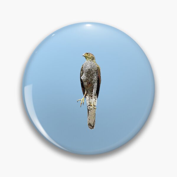 Item preview, Henst's Goshawk Black Alternate Design  designed and sold by designsasstultd.