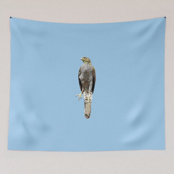 Item preview, Henst's Goshawk Black Alternate Design  designed and sold by designsasstultd.