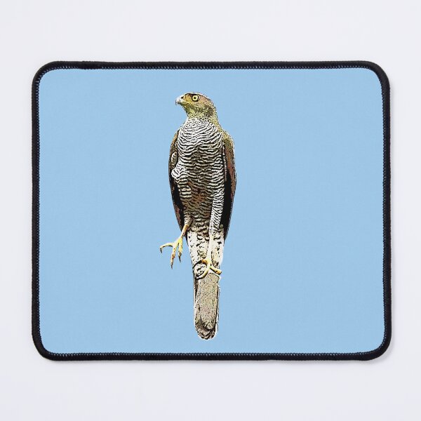 Item preview, Henst's Goshawk Black Alternate Design  designed and sold by designsasstultd.