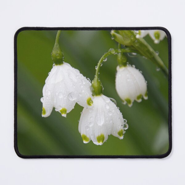 Item preview, Snow Drops designed and sold by MorningStarImg.