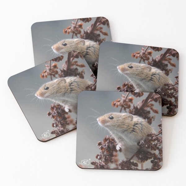 Item preview, Harvest Mouse designed and sold by MorningStarImg.