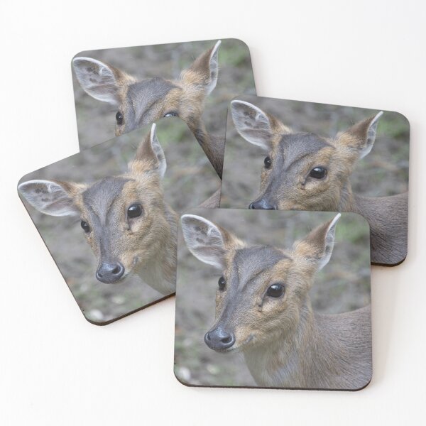 Item preview, Chinese Water Deer designed and sold by MorningStarImg.