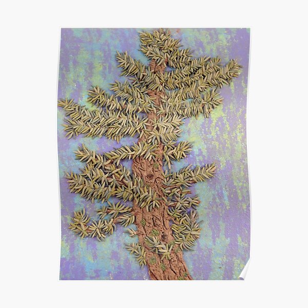 Lone Crooked Pine Tree Poster