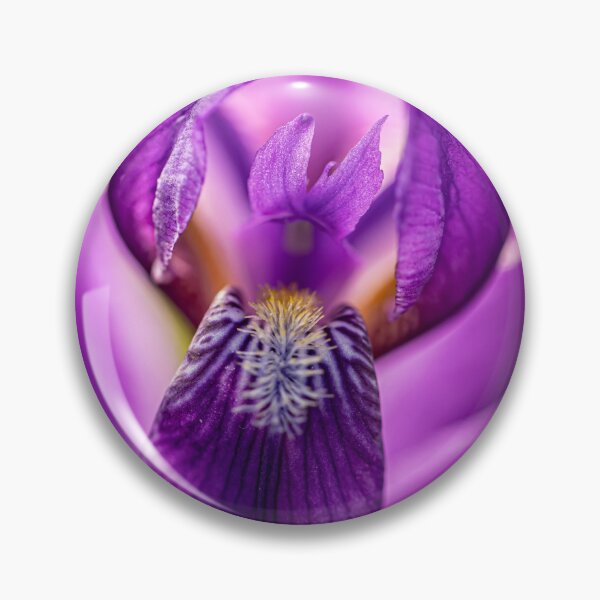 Item preview, Bearded iris designed and sold by Veikko  Suikkanen.