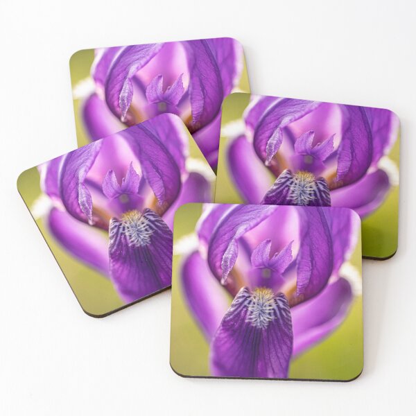 Item preview, Bearded iris designed and sold by Veikko  Suikkanen.
