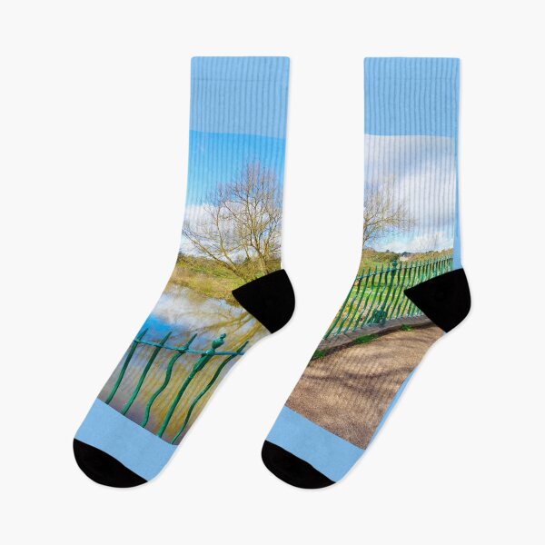 Item preview, Cannon Hall Grounds and Lake designed and sold by Alisonchambers2.