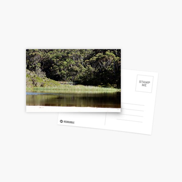 Bridge over Thurra River Postcard