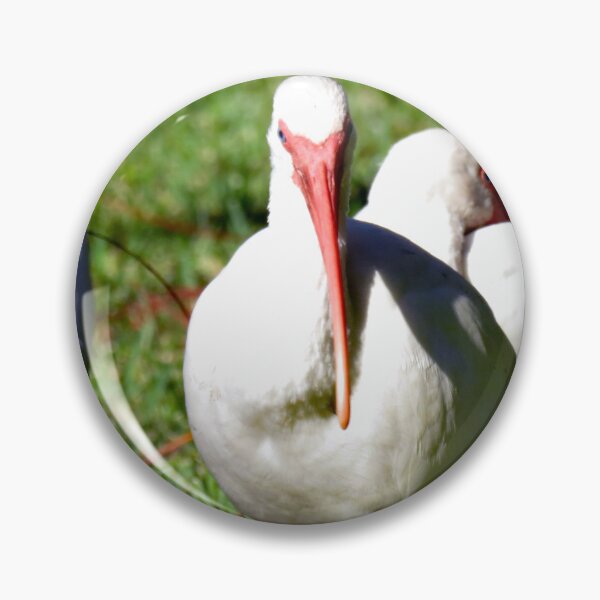 Item preview, American White Ibis designed and sold by supernova23.