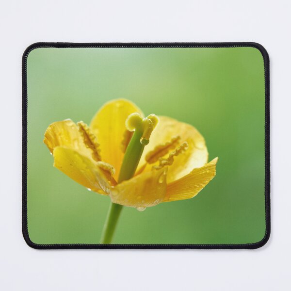 Item preview, tulip flower designed and sold by IgorKovalenko.