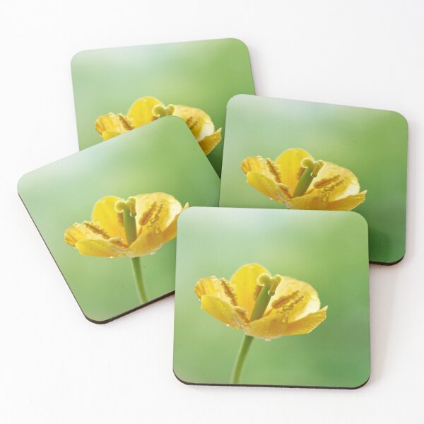 Item preview, tulip flower  designed and sold by IgorKovalenko.