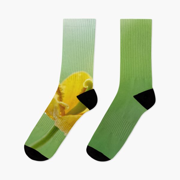 Item preview, tulip flower  designed and sold by IgorKovalenko.