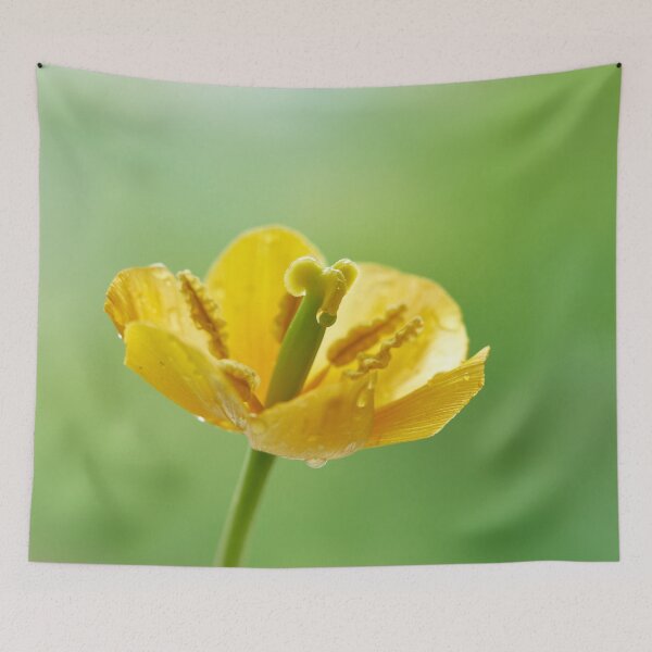 Item preview, tulip flower  designed and sold by IgorKovalenko.