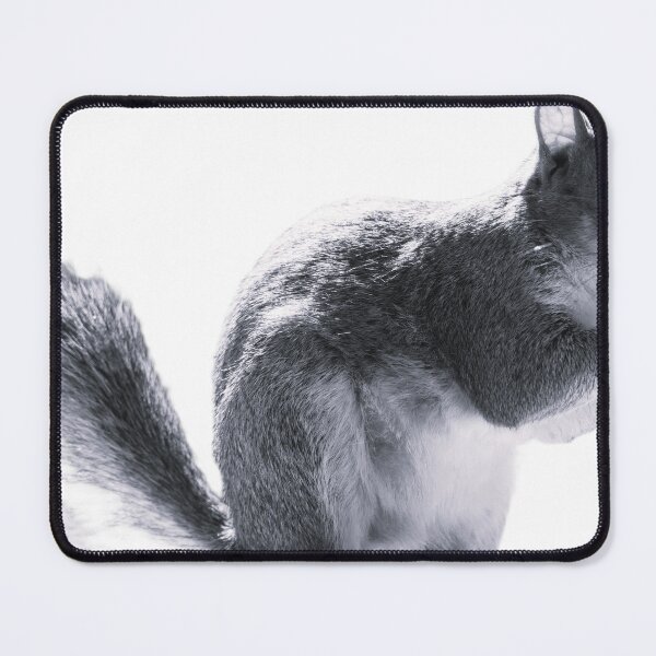 Item preview, Squirrel designed and sold by Kvothe711.