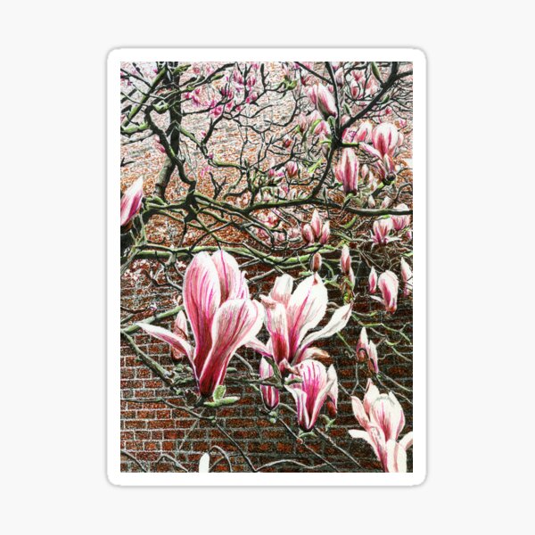 Item preview, Magnolia Tree in Stockton Heath designed and sold by LymphomaLass.
