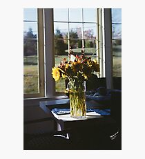 Flowers in the Sun Photographic Print