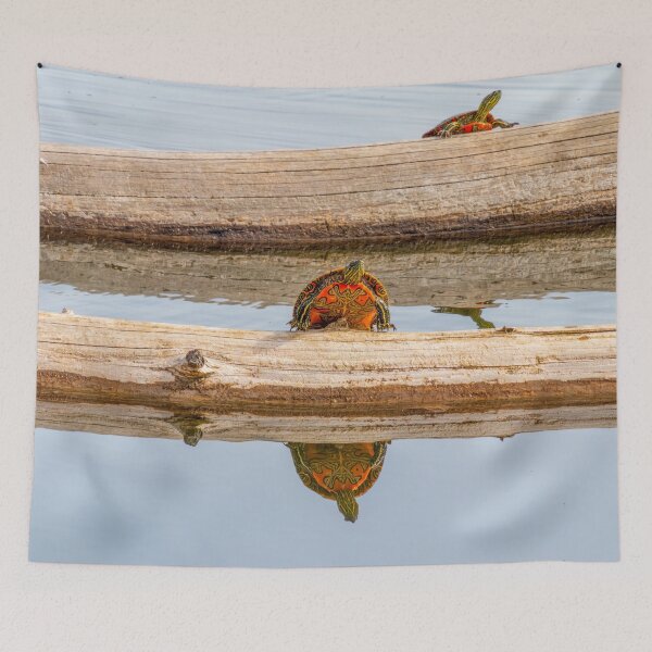 Item preview, Painted Turtles Reflecting on Life designed and sold by SafariByMarisa.