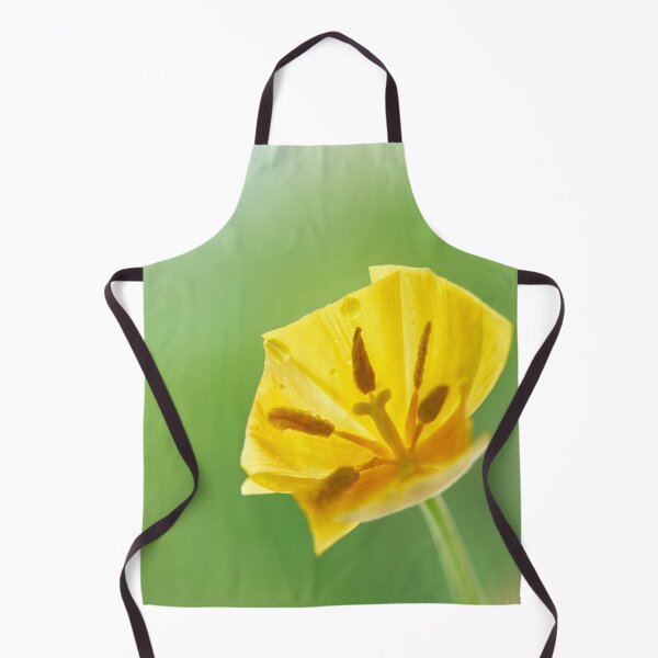 Item preview, tulip flower stand in a vase designed and sold by IgorKovalenko.