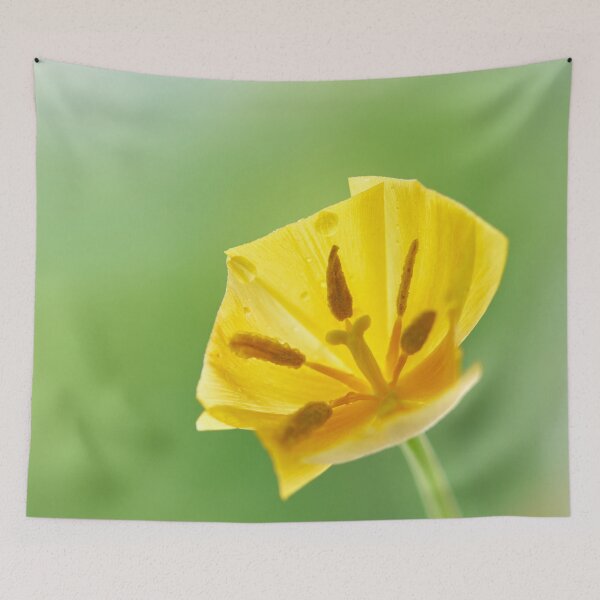 Item preview, tulip flower stand in a vase designed and sold by IgorKovalenko.