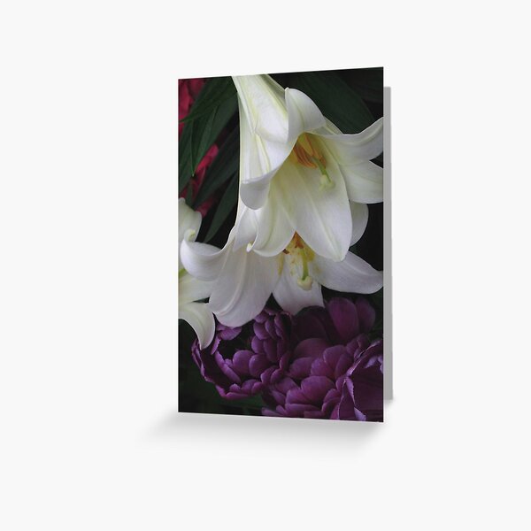 Lily Ballet Greeting Card