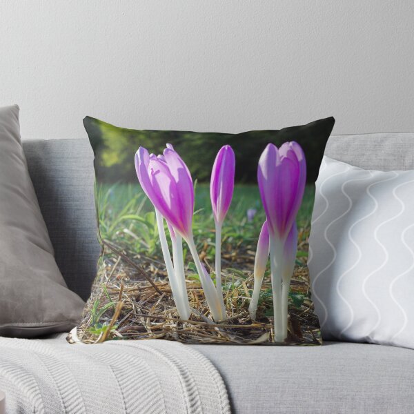 Item preview, Autumn crocus designed and sold by Gabszab.