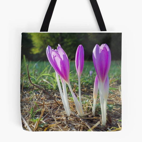 Item preview, Autumn crocus designed and sold by Gabszab.