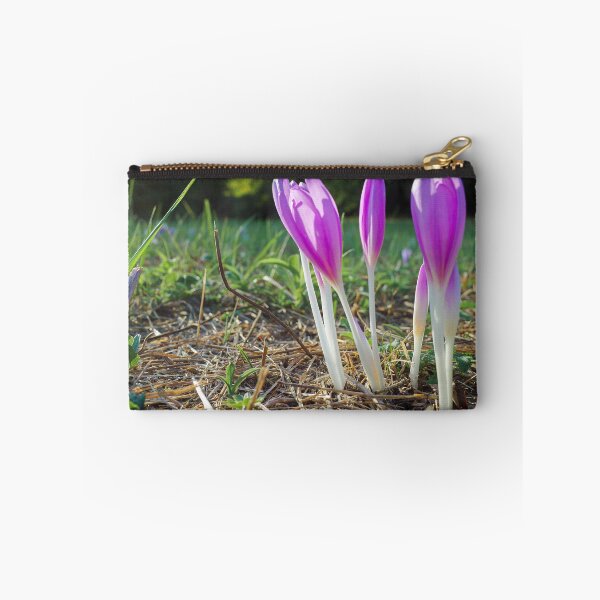 Item preview, Autumn crocus designed and sold by Gabszab.