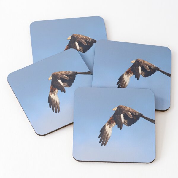 Item preview, Moulting red kite designed and sold by GreyFeatherPhot.