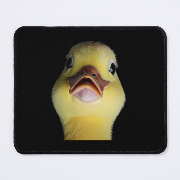 Item preview, Judgment of a Duck designed and sold by marketeam.