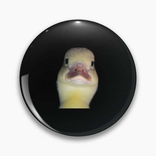 Item preview, Judgment of the second duck designed and sold by marketeam.