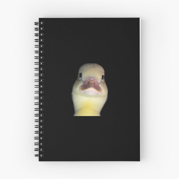 Item preview, Judgment of the second duck designed and sold by marketeam.
