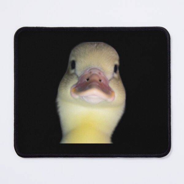 Item preview, Judgment of the second duck designed and sold by marketeam.