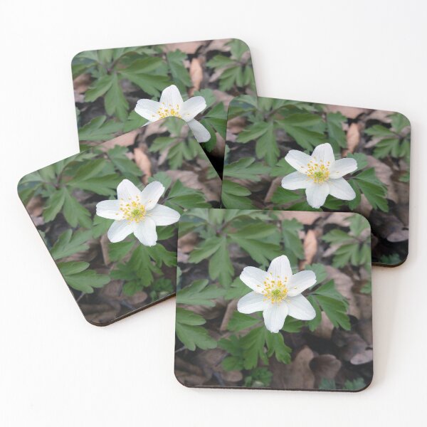 Item preview, White wood anemone 1 original artwork designed and sold by paragonDesign28.