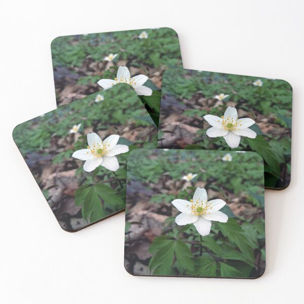 Item preview, White wood anemone 2 original artwork designed and sold by paragonDesign28.