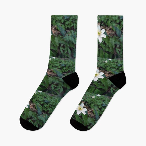 Item preview, White wood anemone 2 original artwork designed and sold by paragonDesign28.