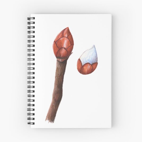 Item preview, Chestnut tree bud designed and sold by Chouetteplanete.