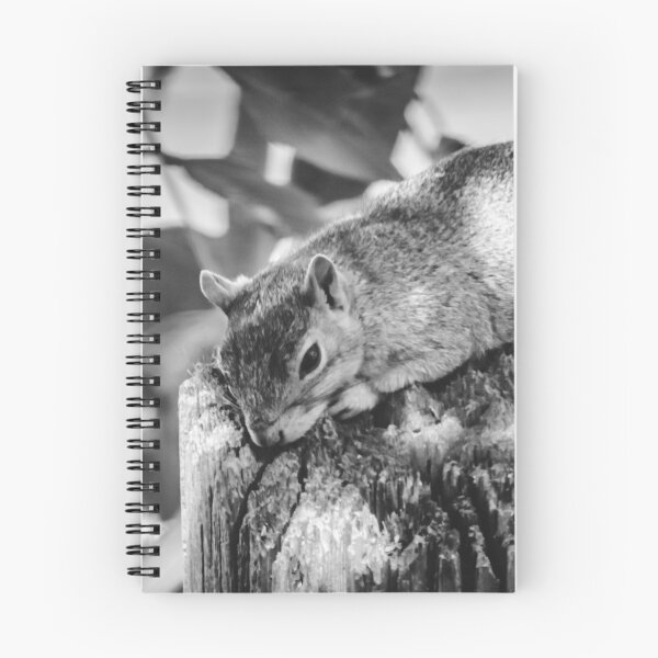 Item preview, Fox Squirrel Lying on Light Pole designed and sold by chazlove.