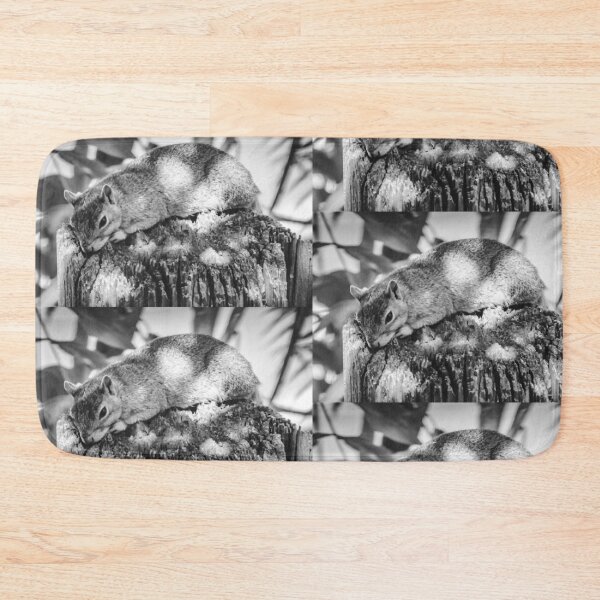 Item preview, Fox Squirrel Lying on Light Pole designed and sold by chazlove.