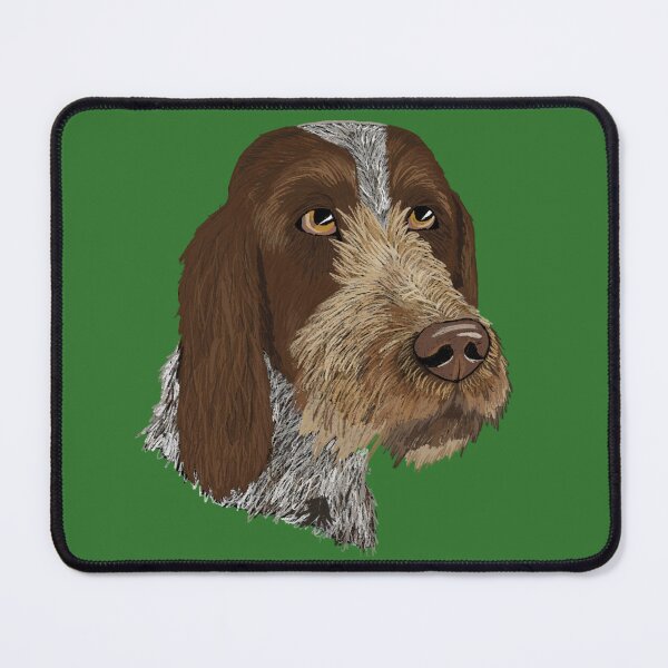 Artikelvorschau, Italienische Spinone-Illustration entworfen und verkauft von rocky0516.