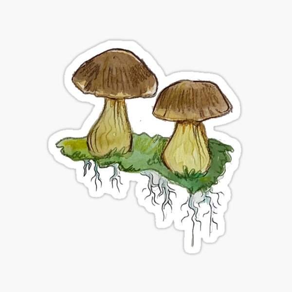 Mushrooms Sticker