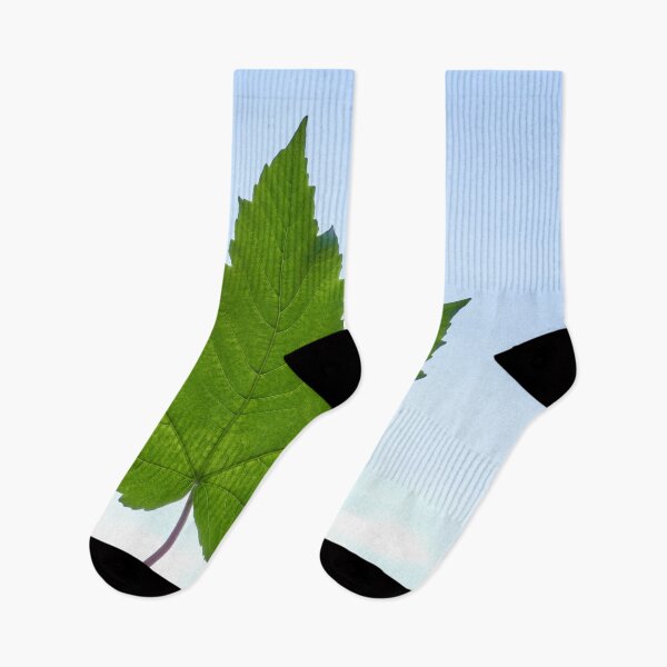 Item preview, Maple Leaf designed and sold by IgorKovalenko.