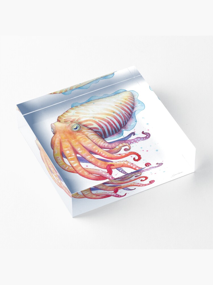 Alternate view of Cuttlefish Acrylic Block