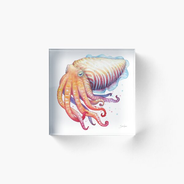 Cuttlefish Acrylic Block