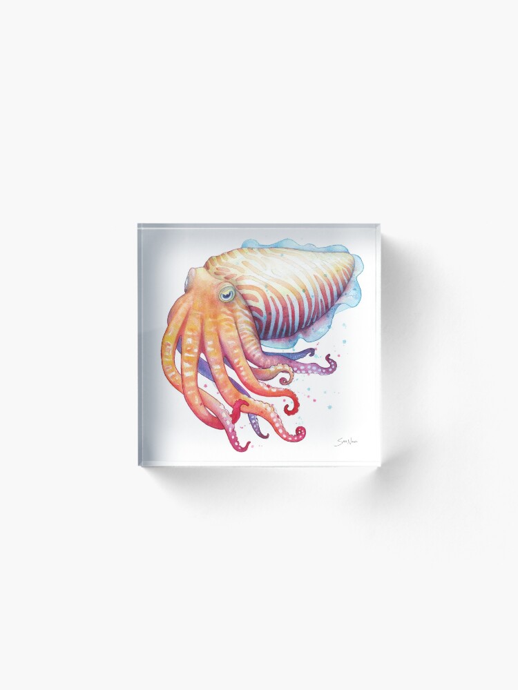 Alternate view of Cuttlefish Acrylic Block